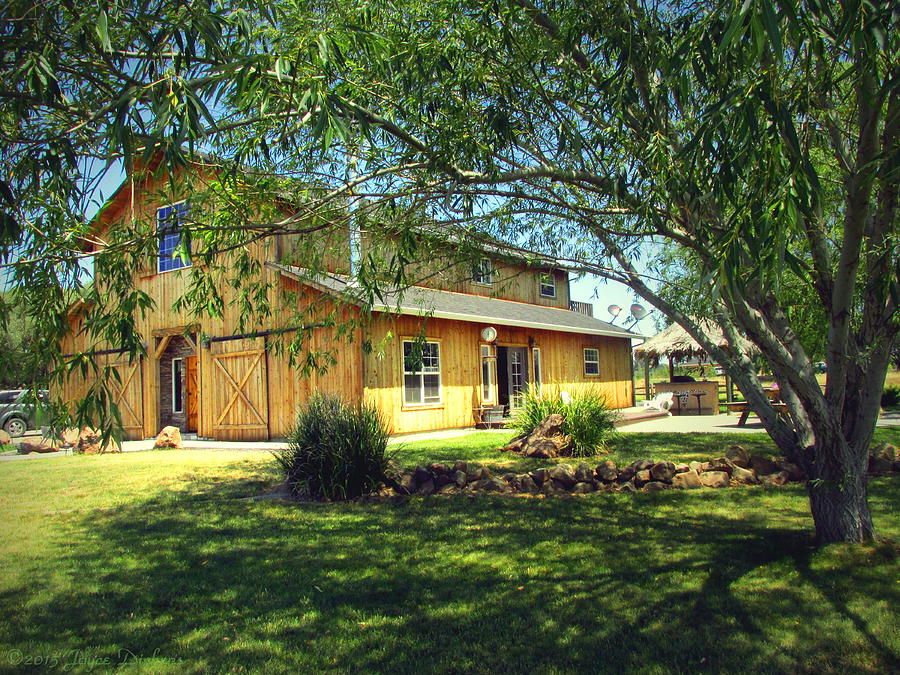 The Ranch House Photograph by Joyce Dickens
