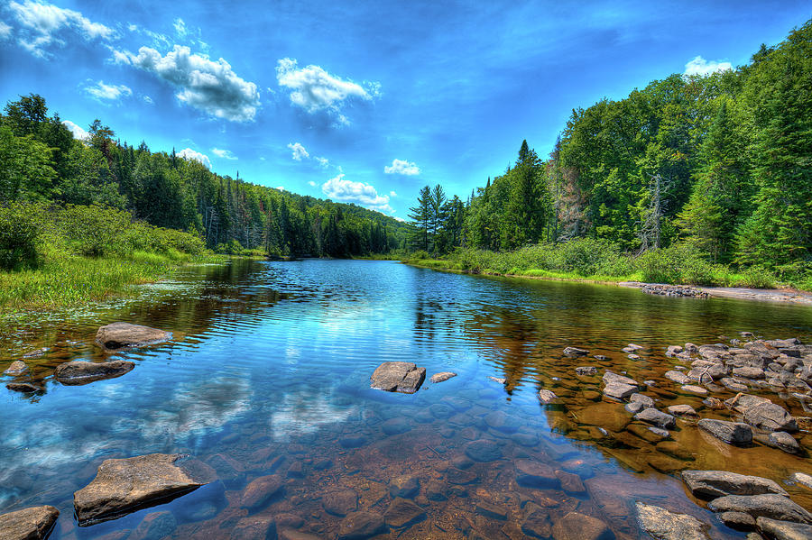 The Raquette River Headwaters Photograph by David Patterson