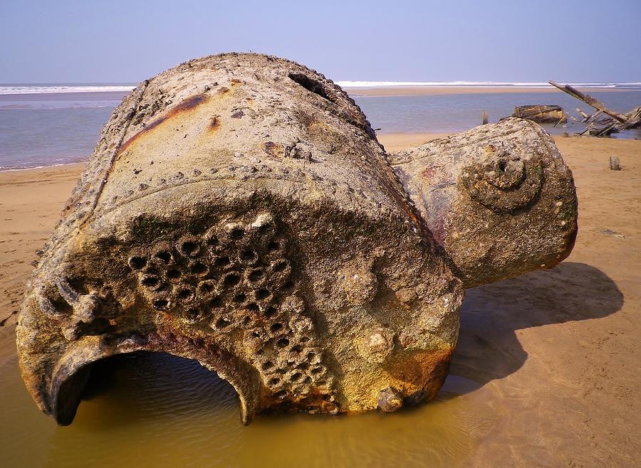Shipwreck Photograph - The Ravages Of Time by Richard Brookes