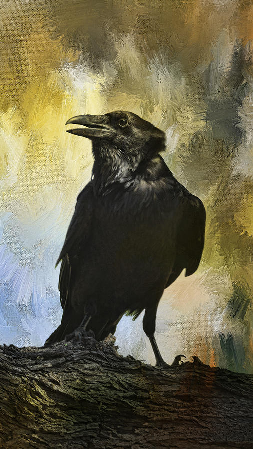 Bird Photograph - The Raven by Barbara Manis