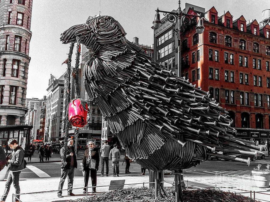 The Raven Bird Sculpture #2 Photograph