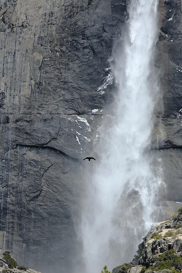 The Raven Falls Photograph by David Andersen