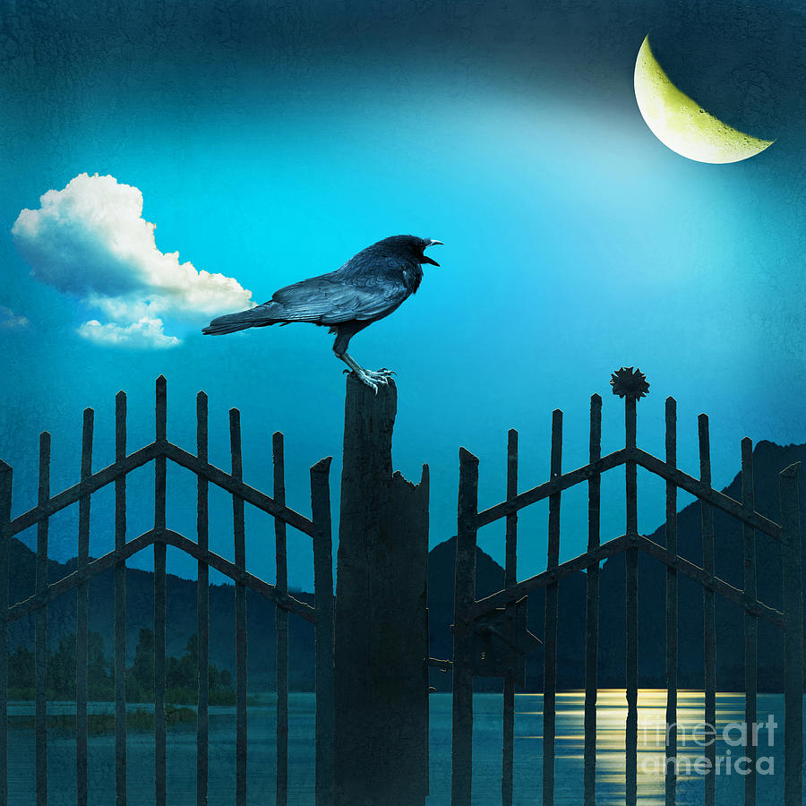 Mountain Digital Art - The Raven in the night by Monika Juengling
