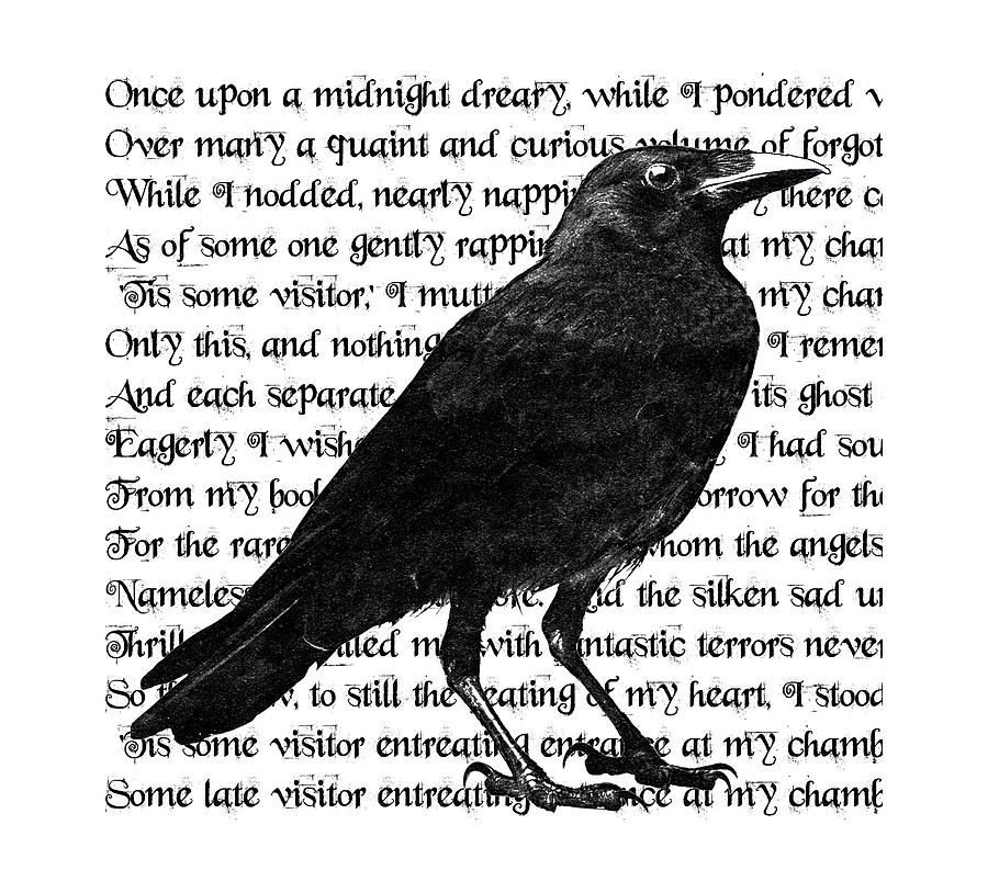 Raven Digital Art - The Raven Poem Art Print #2 by Sandra McGinley