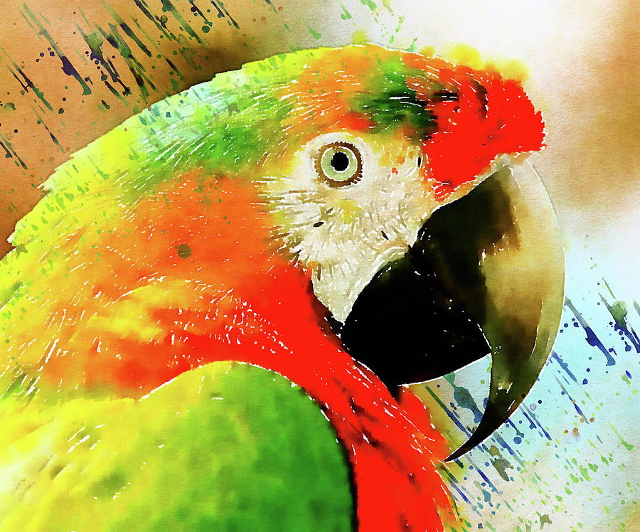 Macaw Digital Art - The Real Macaw by Georgiana Romanovna