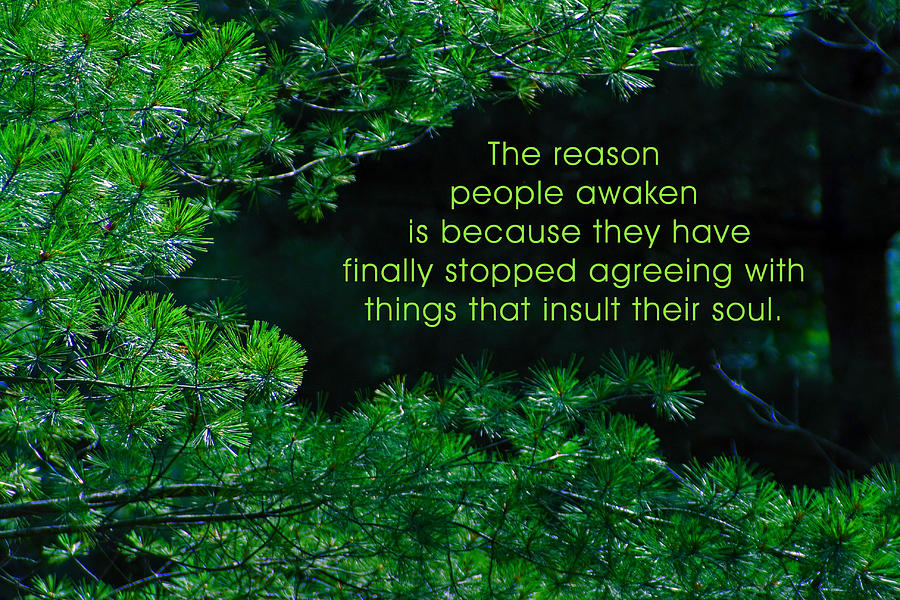 Quotation Photograph - The Reason People Awaken by Mike Flynn