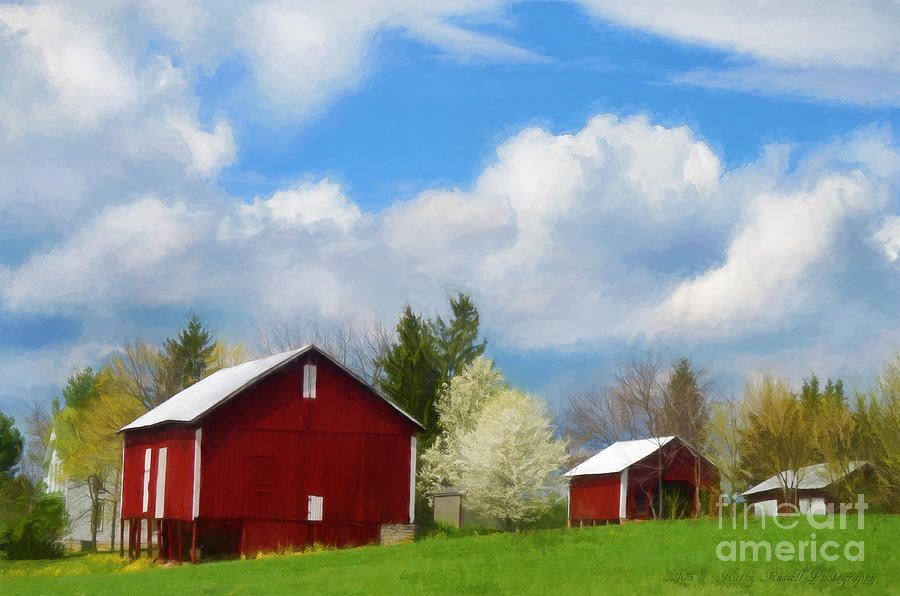 The Red Barn Photograph by Kathy Russell