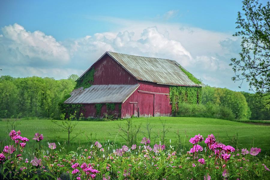 The Red Barn Photograph by Mary Timman