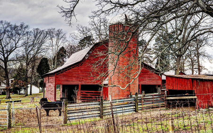 The Red Barn Photograph by Paul Mashburn