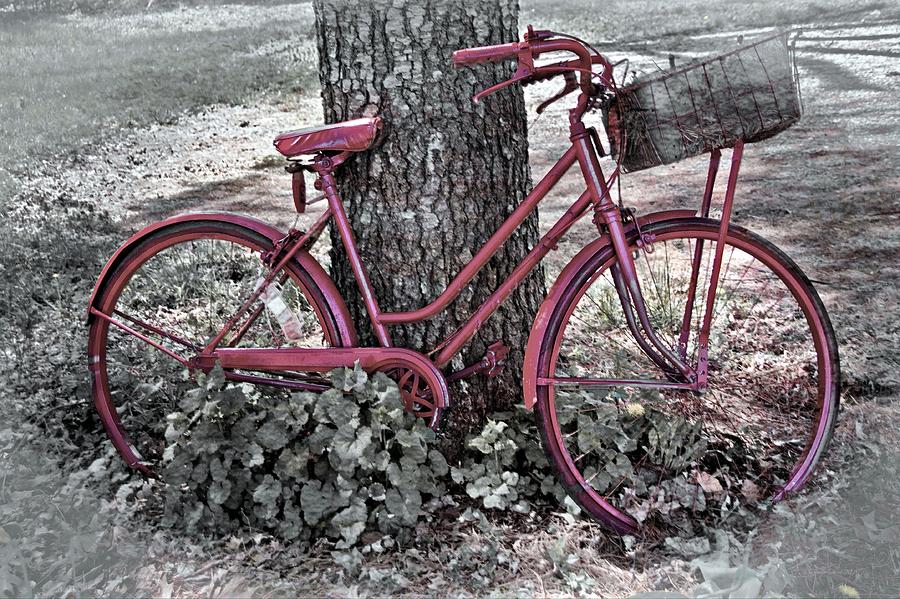 The Red Bicycle Photograph by Suzanne Stout