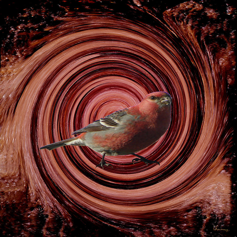 The Red Bird Digital Art by Andrea Lawrence