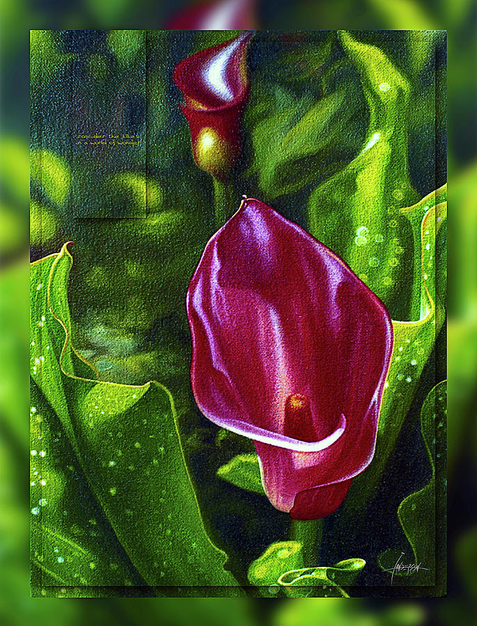 The Red Cala Lily Painting by Ian Anderson