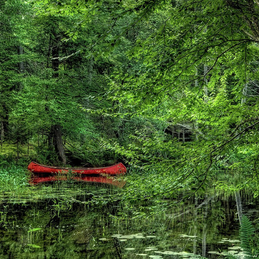 The Red Canoe 2 Photograph by David Patterson