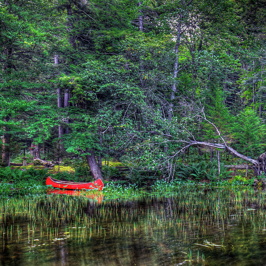 The Red Canoe Photograph by David Patterson