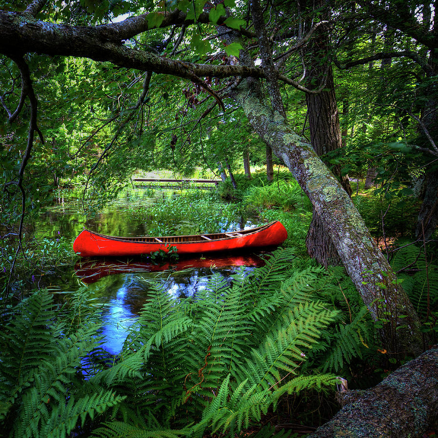 The Red Canoe on the Lake Photograph by David Patterson