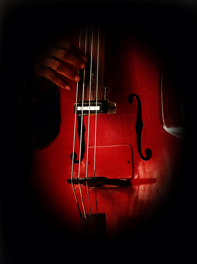 The Red Cello Photograph by Connie Handscomb