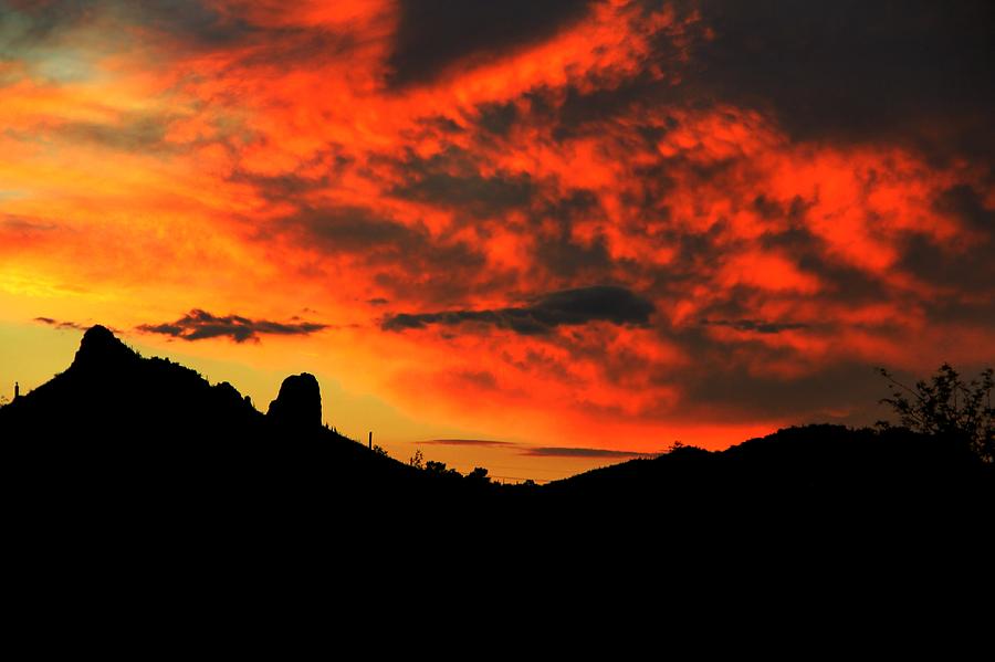 The Red Desert Sky by Kimmi Craig The Red Desert Sky by Kimmi Craig