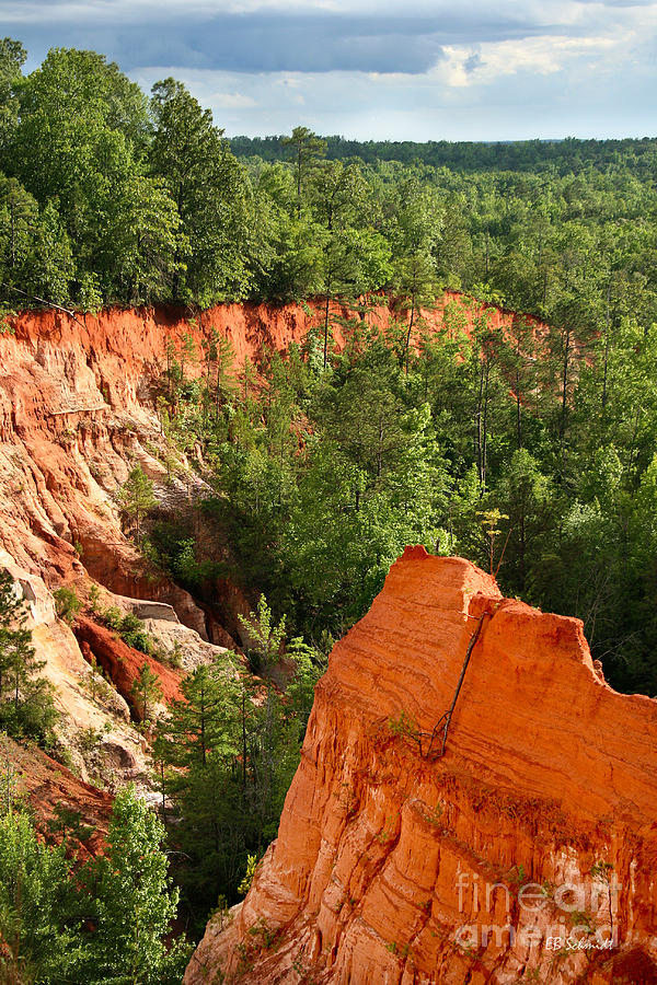 The Red Dirt of Georgia Photograph by E B Schmidt