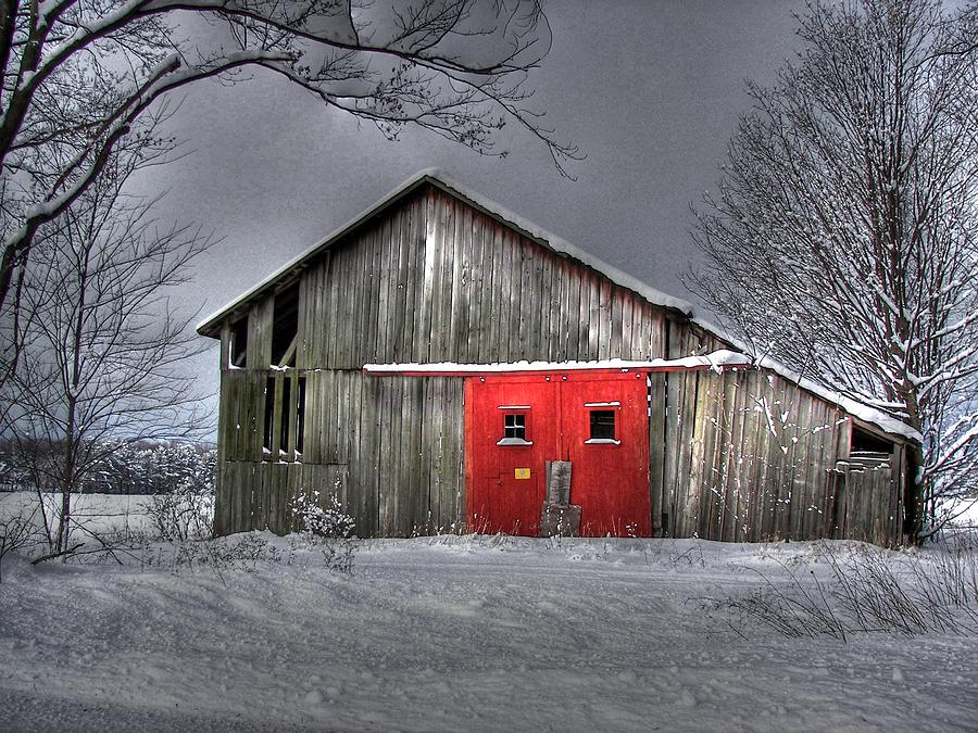 The Red Door Photograph by Maria Dryfhout - Fine Art America