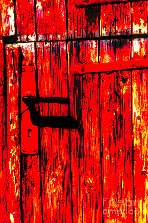 The Red Door Photograph by Rick Bragan