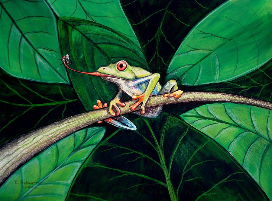 The Red Eyed Tree Frog Painting by Elizabeth Robinette Tyndall