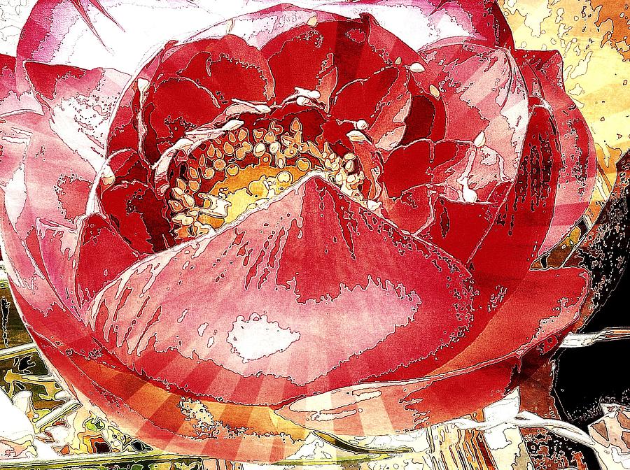 The Red Flower Blooms Digital Art by Cooky Goldblatt