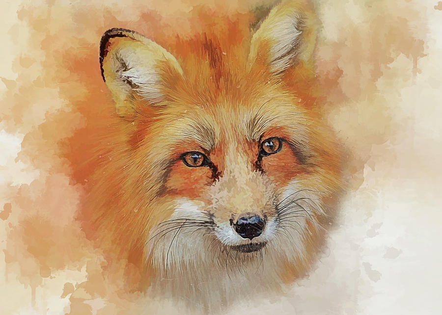 The Red Fox Digital Art by Brian Tarr