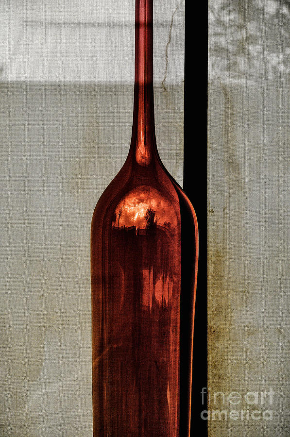 The Red Glass Bottke Photograph by Frances Ann Hattier