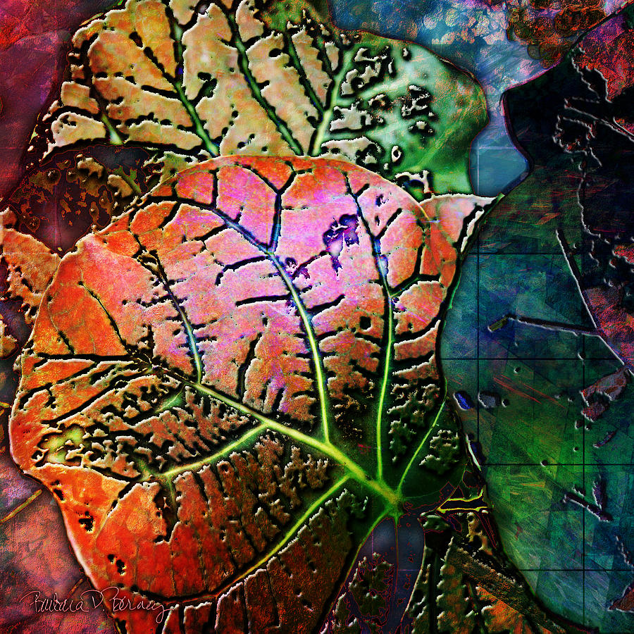 The Red Leaf Digital Art by Barbara Berney