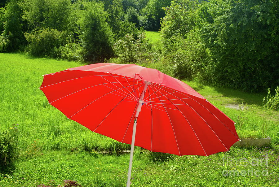 The Red Parasol Photograph by Michelle Meenawong