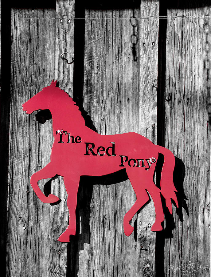 The Red Pony Photograph by Steph Gabler