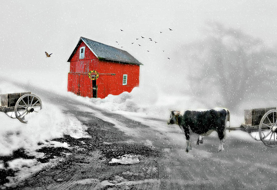 The Red Red Barn Photograph by Diana Angstadt