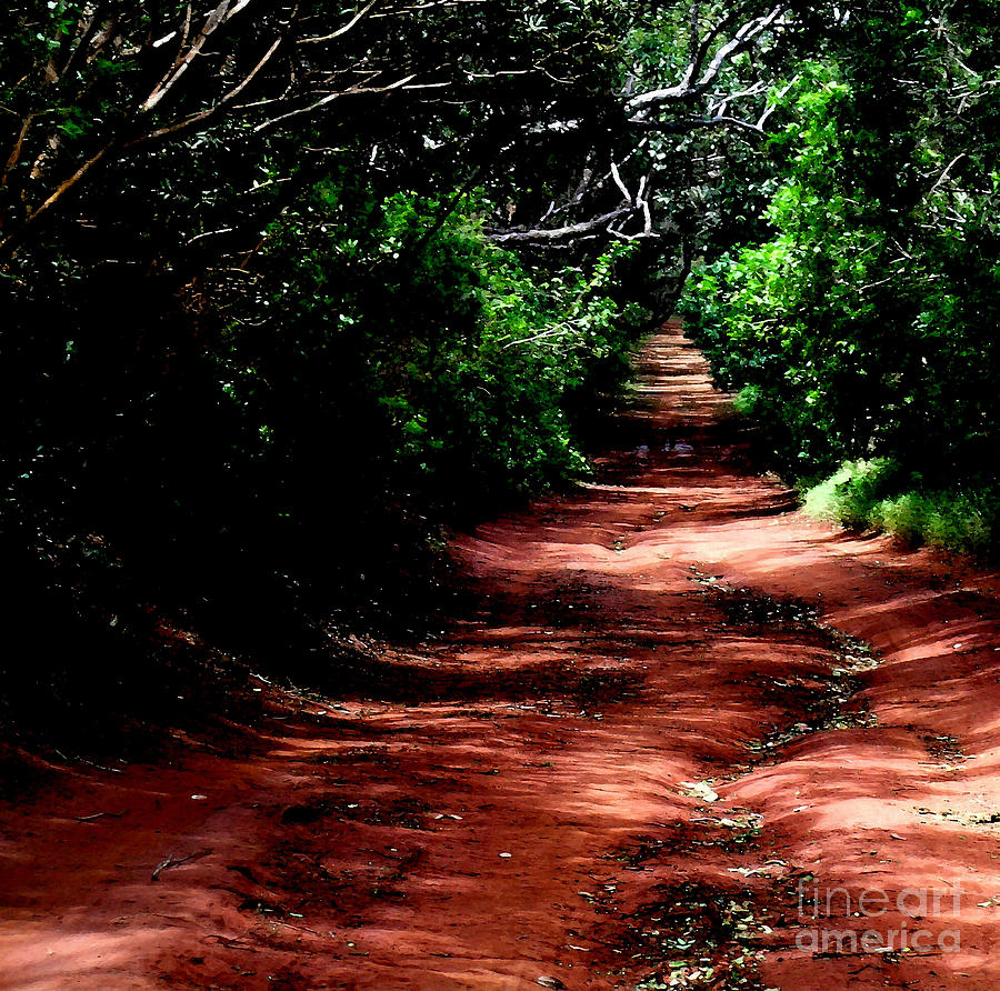 The Red Road To Ironwood Hills Photograph by James Temple