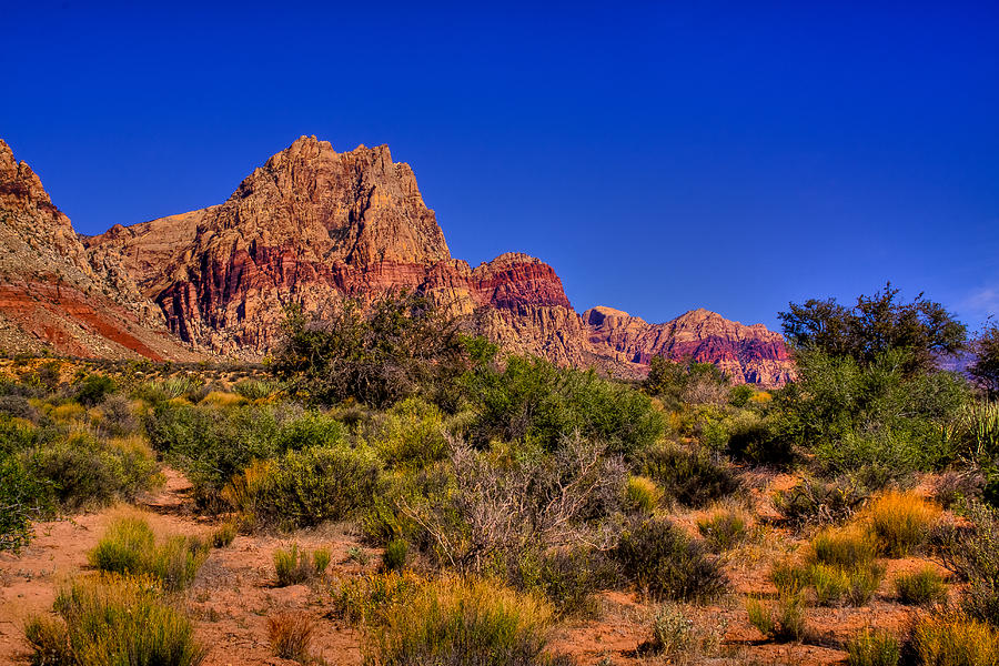 The Red Rock Canyon at Bonnie Springs Ranch Photograph by David Patterson