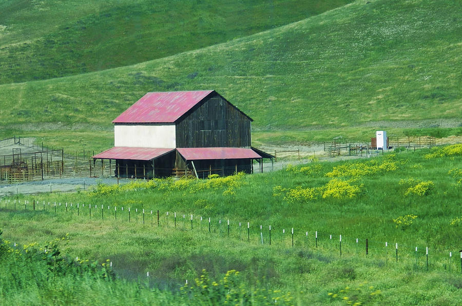 The Red Roof Barn on Route 46 Photograph by Jan Moore