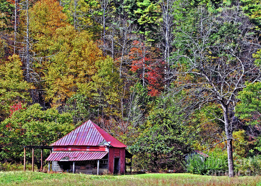 The Red Shed 4 Photograph by Lydia Holly