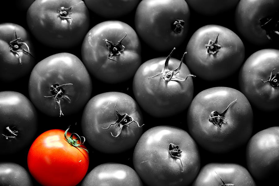 The Red Tomato Photograph by Imagery-at- Work