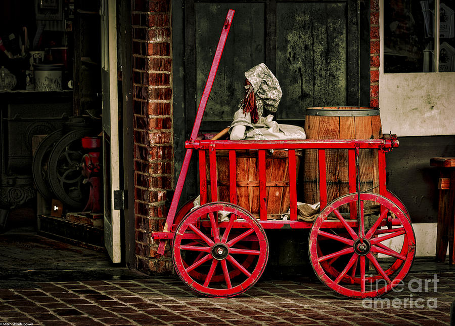 The Red Wagon Photograph by Mitch Shindelbower