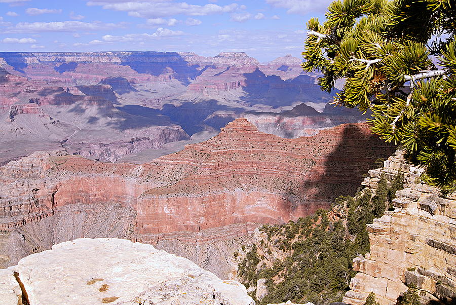 Grand Canyon National Park Photograph - The Red Wall by Larry Ricker