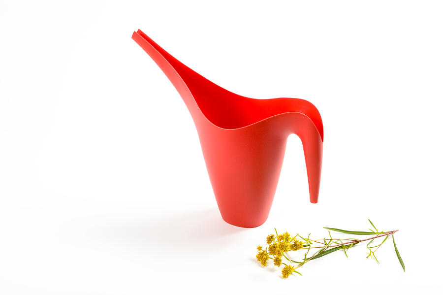 Flower Photograph - The Red Watering Can with flowers by Lynn Berreitter