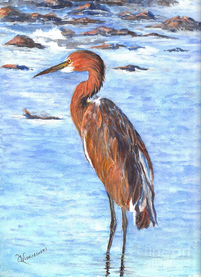 The Reddish Egret of Florida Painting by Carol Wisniewski