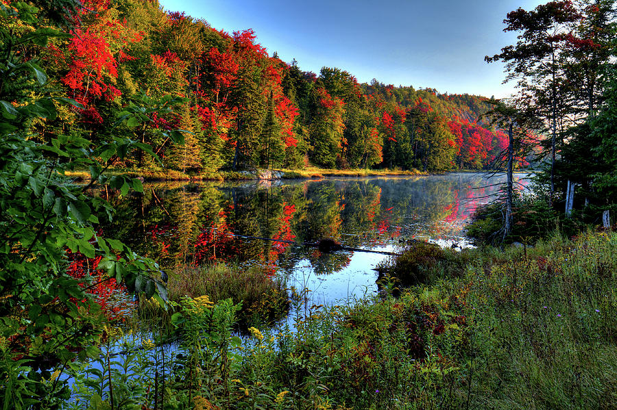 The Reds of Early Autumn Photograph by David Patterson