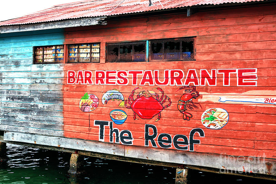 The Reef Bocas del Toro Panama Photograph by John Rizzuto