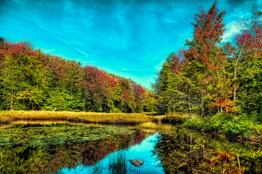 The Reflections of Fall Photograph by David Patterson