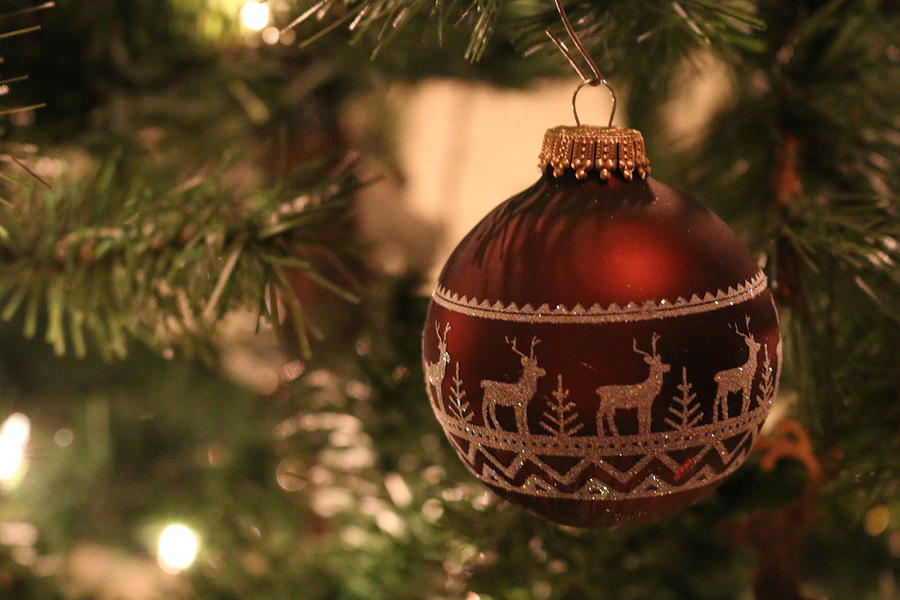 The Reindeer Ornament Photograph by Living Color Photography Lorraine Lynch
