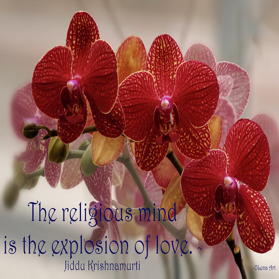 The Religious Mind, Explosion of Love - Quote Digital Art by Lena Owens - OLena Art Vibrant Palette Knife and Graphic Design
