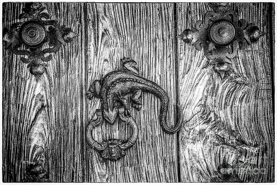 The Reptile Door Knock  Photograph by Rene Triay FineArt Photos