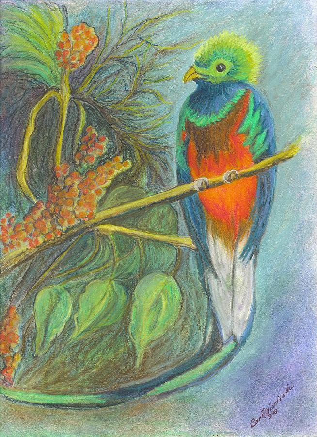 The Resplendent Quetzal Bird Drawing by Carol Wisniewski