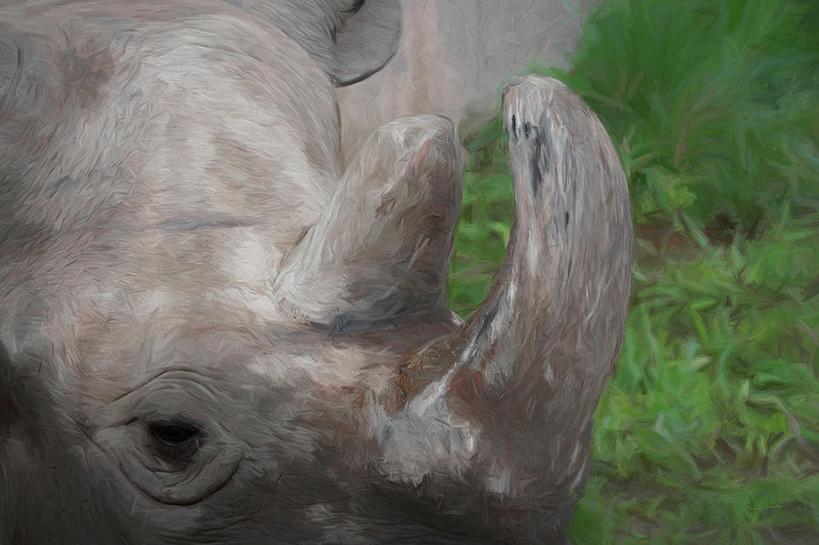 The Rhino Digital Art by Ernest Echols