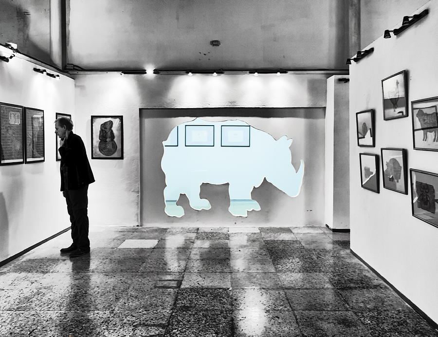 The Rhino in the Room Photograph by Jessica Levant